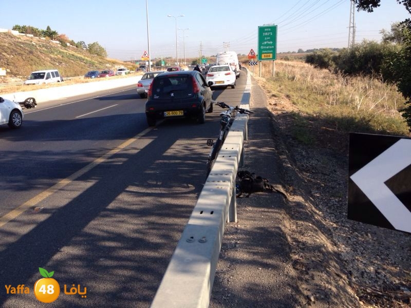 acc genaton ramla lud 1028 (2).jpg